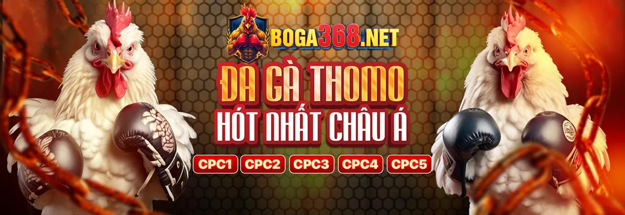 Tham gia hi8823 để nhận tin tức mới nhất