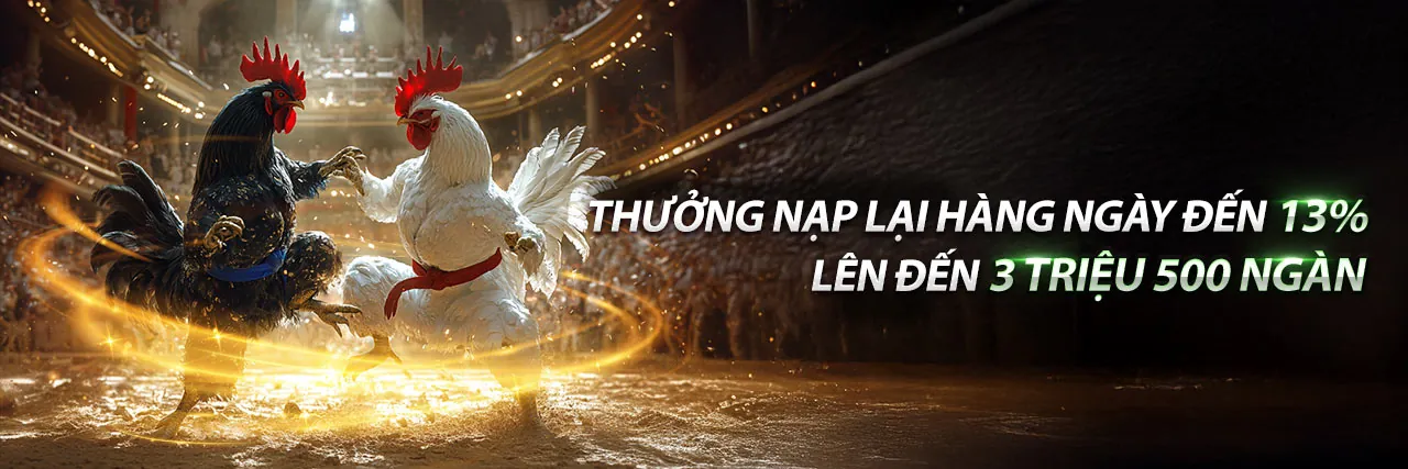 Đá gà trực tiếp hi8823 nổ hũ